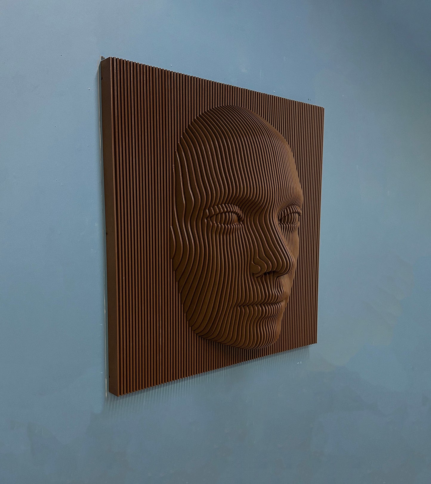 3D Parametric Face Wall Art Decor, Contemporary Piece Wall Mounted Piece