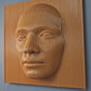 3D Parametric Face Wall Art Decor, Contemporary Piece Wall Mounted Piece
